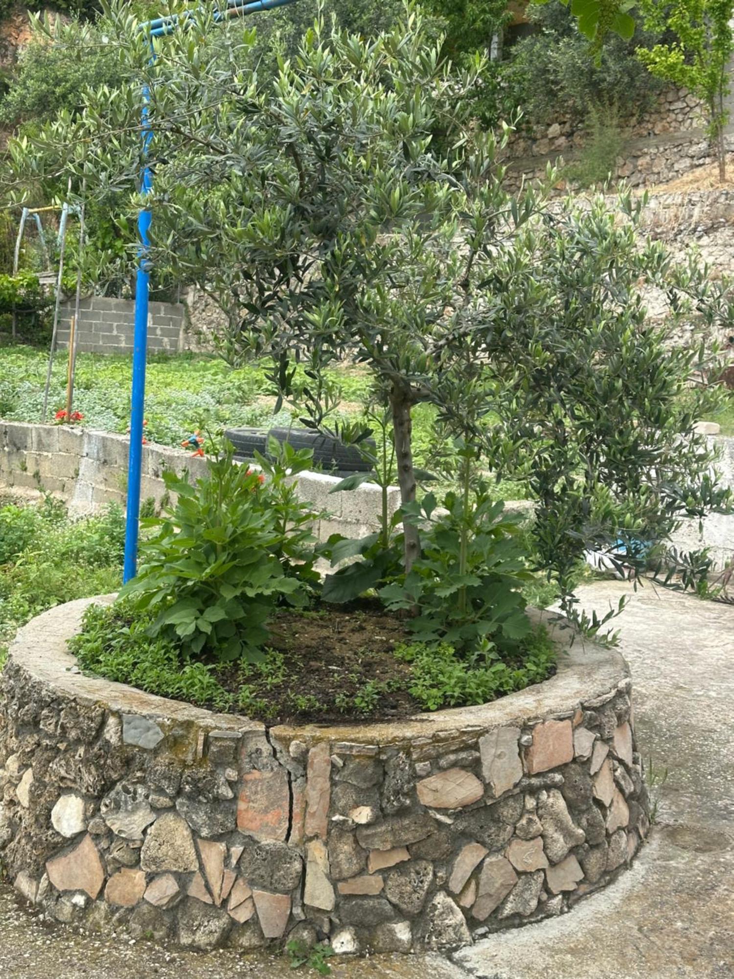 Piqeras Romeo'S Guest House 2 מראה חיצוני תמונה